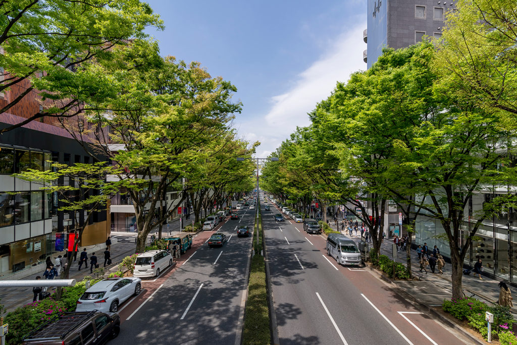 Omotesando shopping